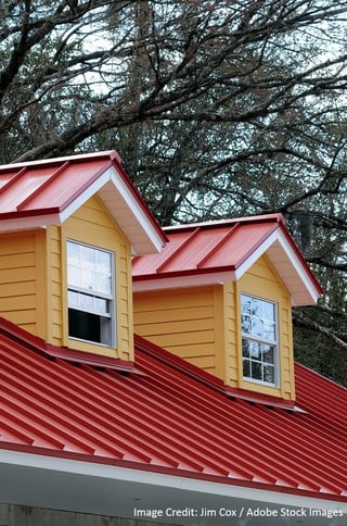 Eco Friendly Metal Roof-489348-edited.jpg