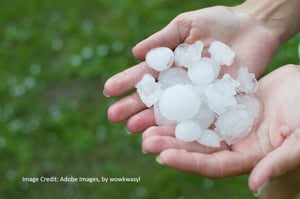 hail stones in hand after hail storm