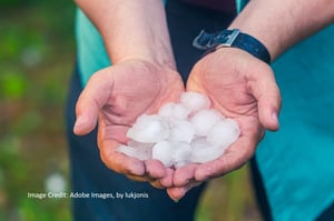 large hail stones in the hands of a man just after a hail storm