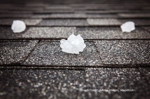 Ice sitting on a shingle roof in Austin Texas