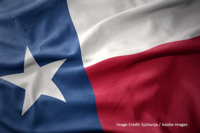 TexasFlag.jpg