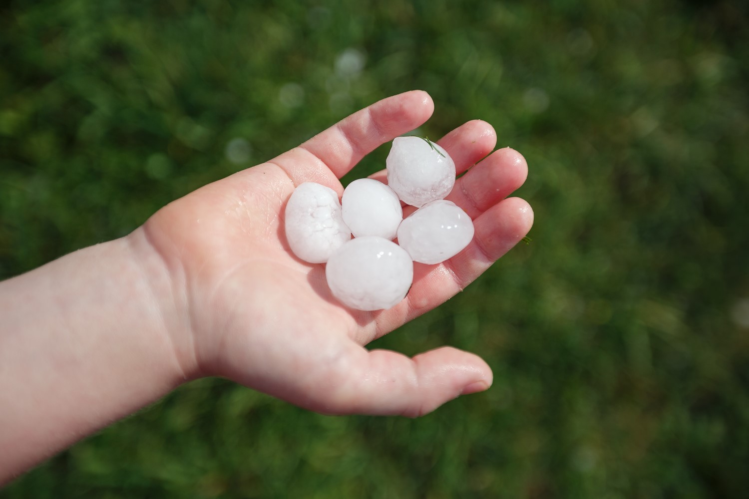 Georgetown Hailstorm