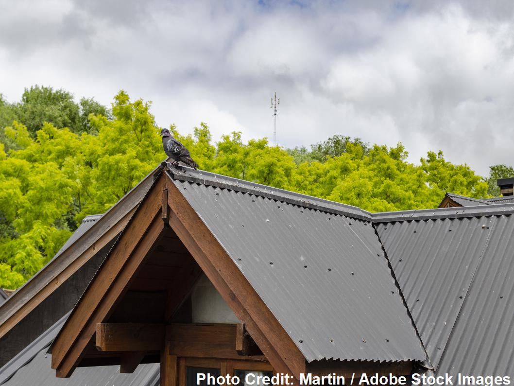 Call a Metal Roofer Before You Try New DIY Metal Roof Systems Does A Metal Roof Keep Your House Cooler