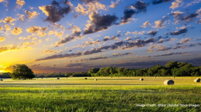 Round hay bales are scattered across a green field beneath a dramatic golden sunset sky lined with trees.