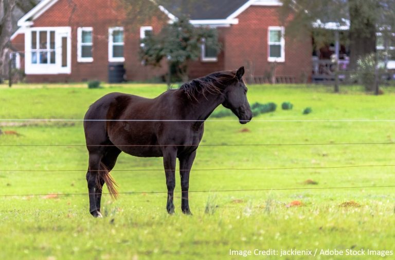 Kyle Roofing Experts