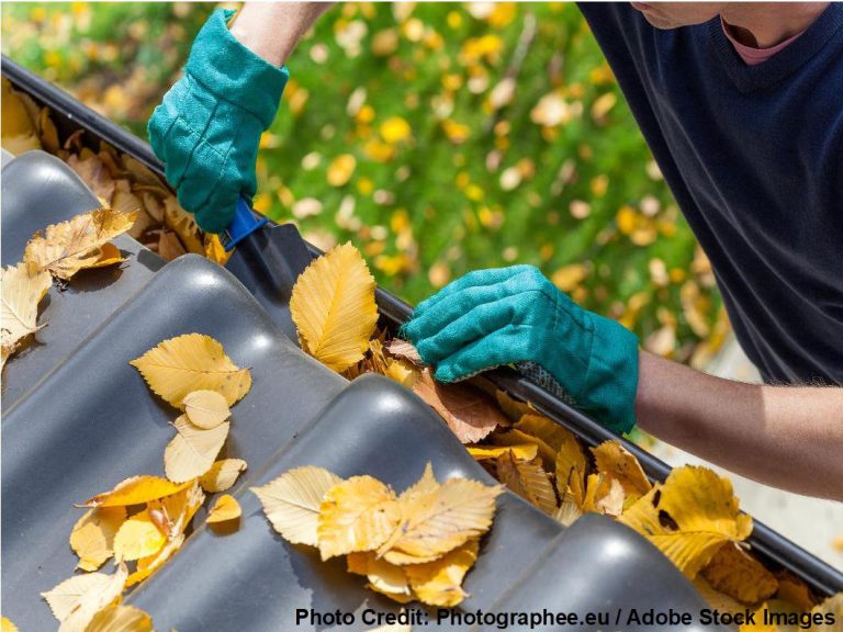 Gloved hands remove yellow fallen leaves from a metal gutter, with a blurred green and gold autumn backdrop behind.