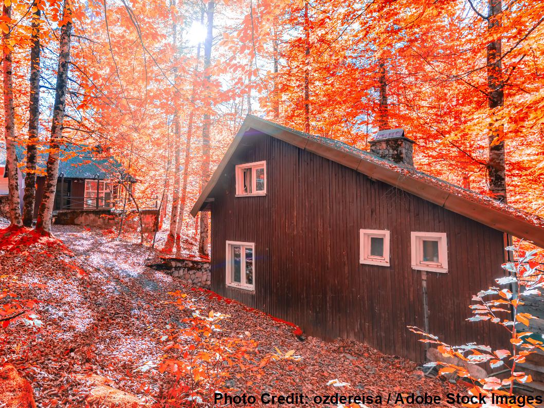 A dark wooden cabin sits nestled in a dense forest, surrounded by vibrant red and orange fall foliage and fallen leaves.