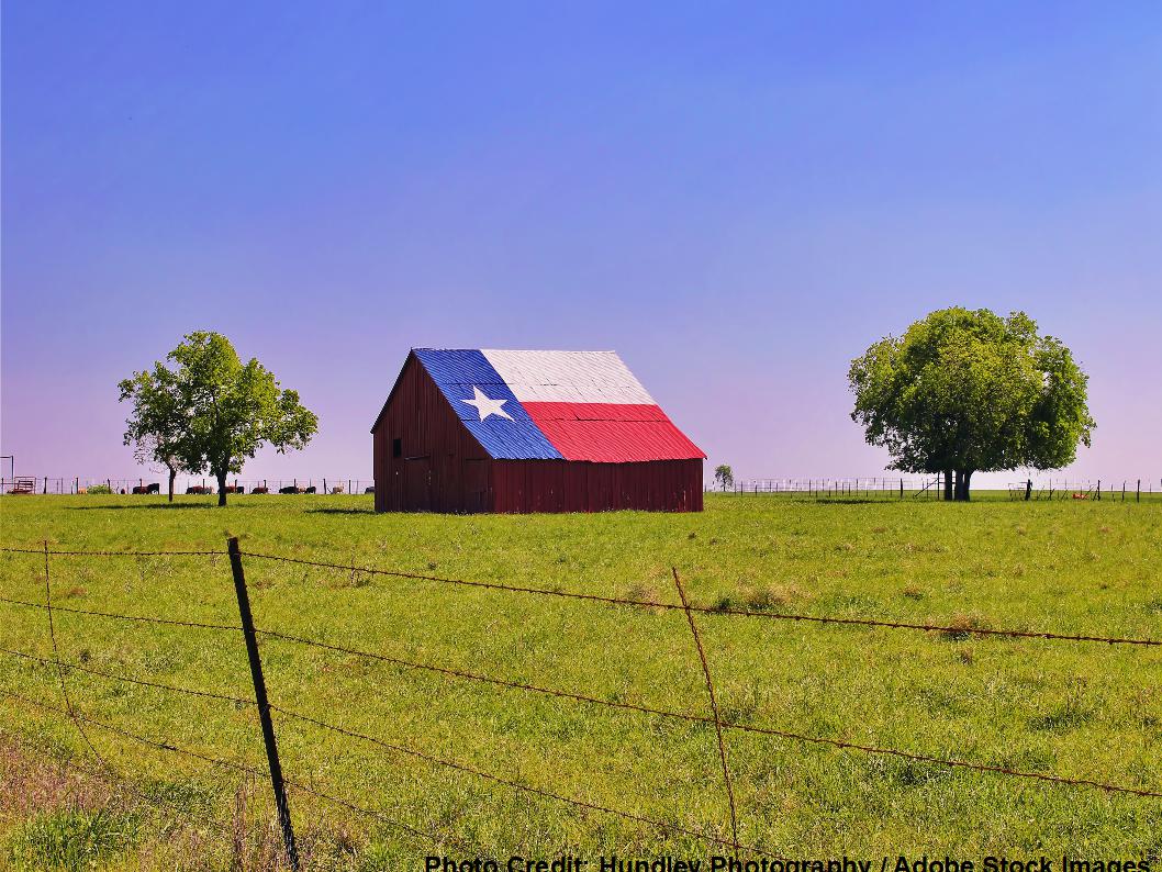 A rustic red barn features a roof painted as the Texas flag, standing in a fenced pasture beneath a twilight sky.