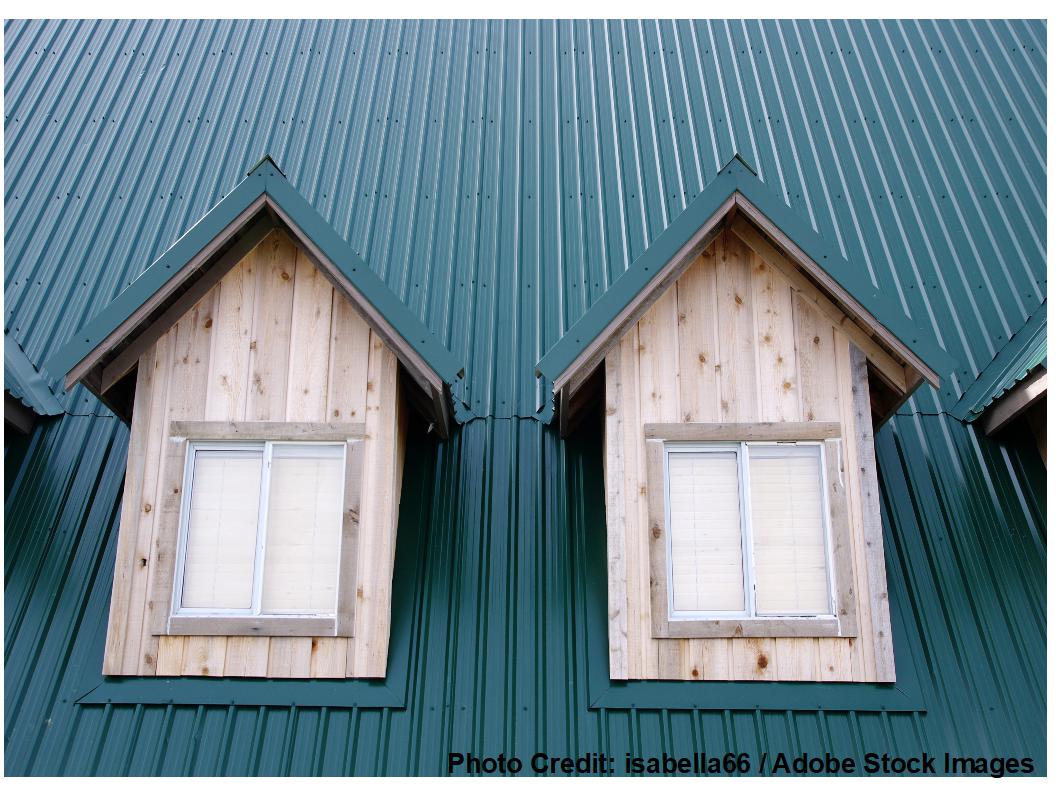 Two wood-sided dormer windows sit side by side beneath a sloped green standing-seam metal roof, showcasing crisp architectural detail.