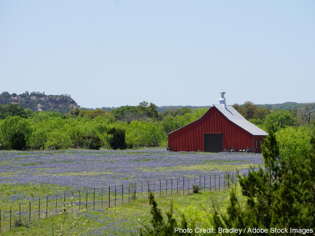 A red barn with a metal roof rises above a field of blue Texas wildflowers, backed by rolling hills and rocky bluffs.