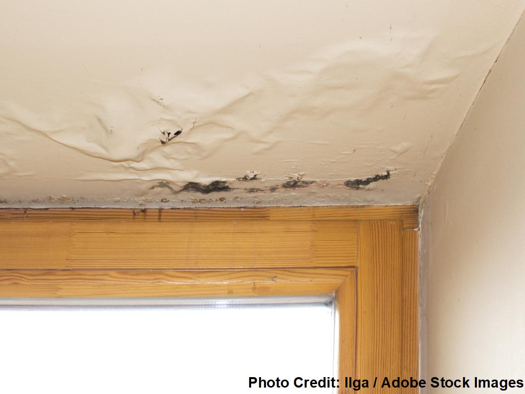 Close-up of a home's ceiling corner with bubbling paint, water stains, and dark mold above a wood window frame.