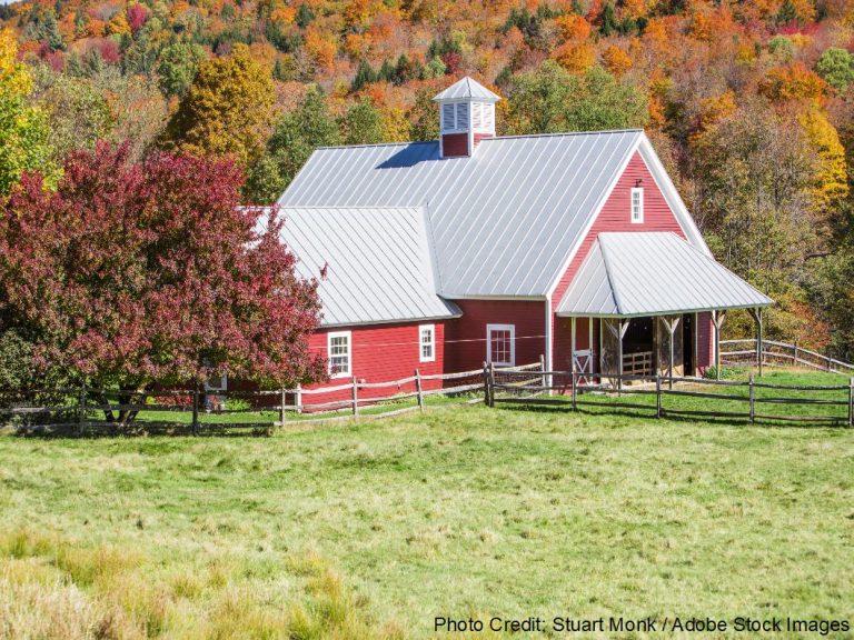 A red barn with a gray standing seam metal roof and cupola sits in a green pasture surrounded by colorful autumn foliage.