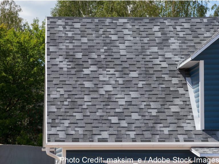 A close-up of a gray textured shingle roof section beside a blue-sided dormer window and green trees.
