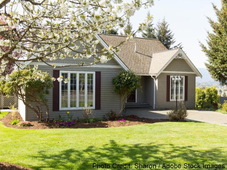 A gray single-story ranch home with a dimensional shingle roof is framed by blooming white spring tree blossoms and green lawn.