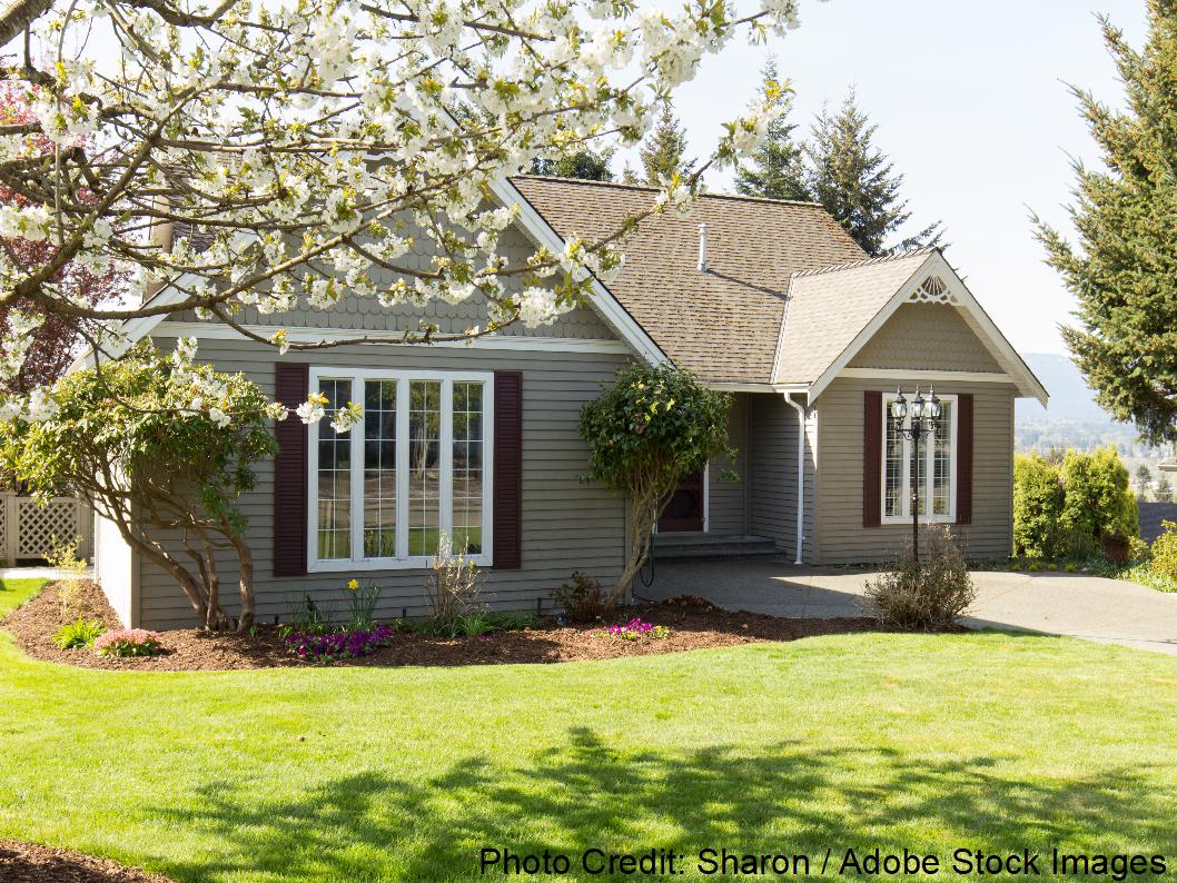 A gray single-story ranch home with a dimensional shingle roof is framed by blooming white spring tree blossoms and green lawn.