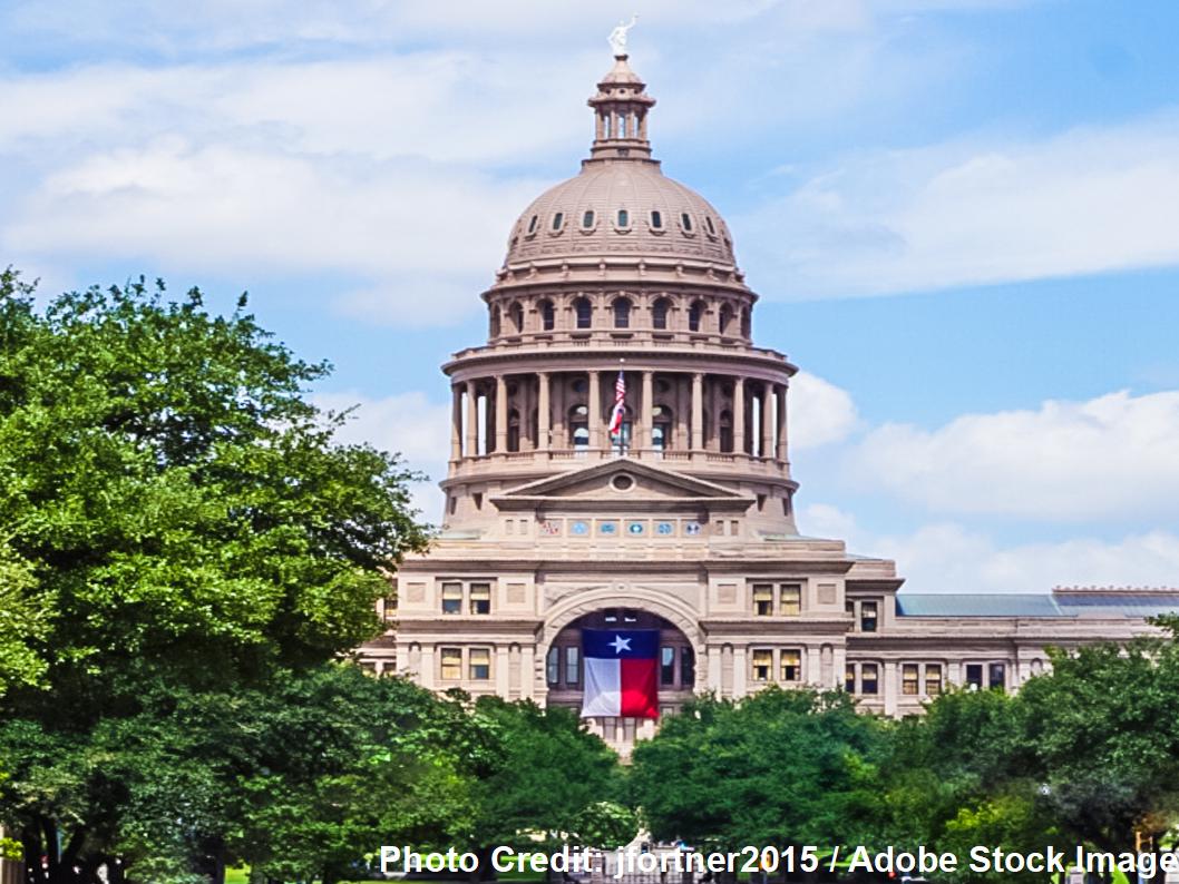 The domed Texas State Capitol building rises above surrounding trees, with a Texas flag visible between its front columns.