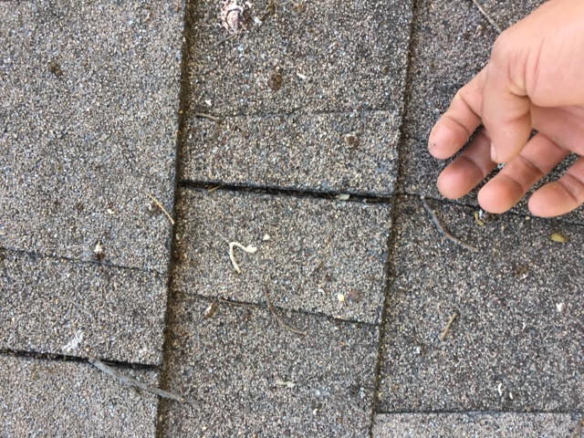 roof repair