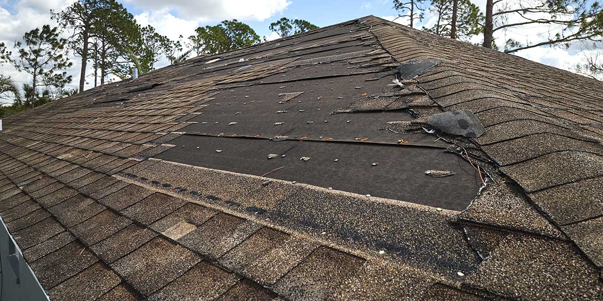 Damaged asphalt shingles on a roof showing severe granular loss and exposed underlayment from weathering and old age deterioration.